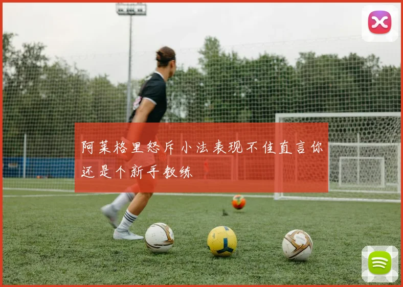 阿莱格里怒斥小法表现不佳直言你还是个新手教练