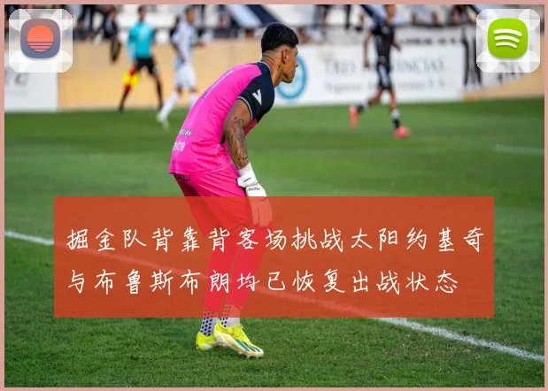 掘金队背靠背客场挑战太阳约基奇与布鲁斯布朗均已恢复出战状态