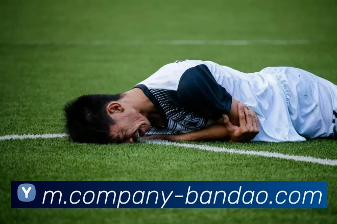 App Interface Preview