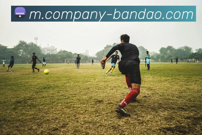 半岛体育APP 封面图